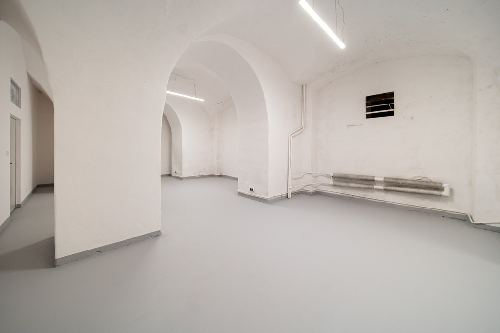 Lokal Sprzedaż Szczecin 10