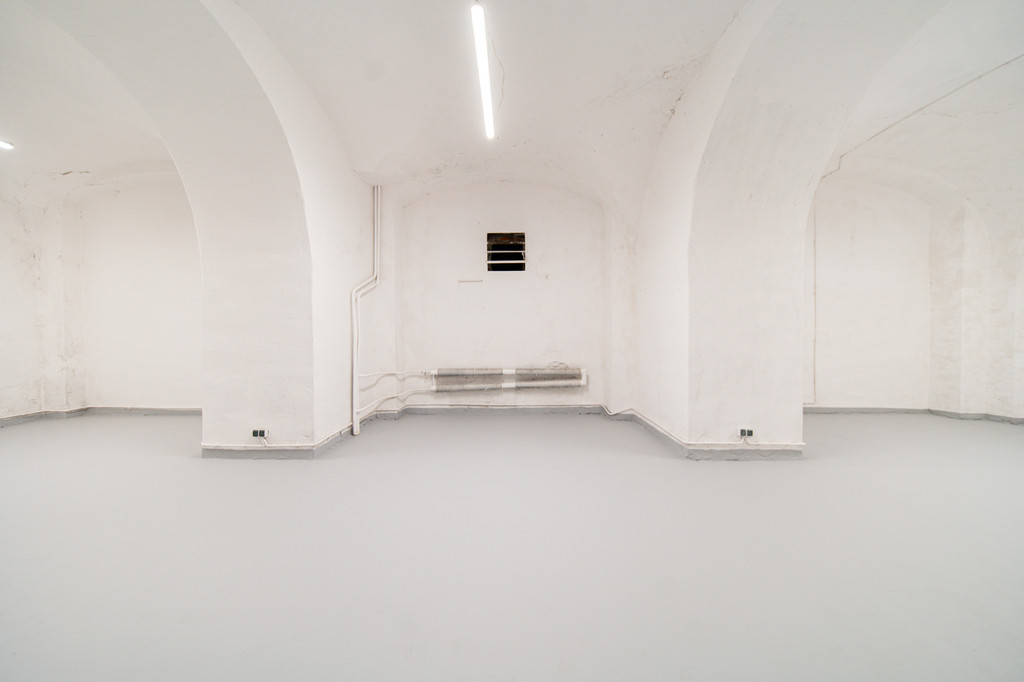 Lokal Sprzedaż Szczecin 11