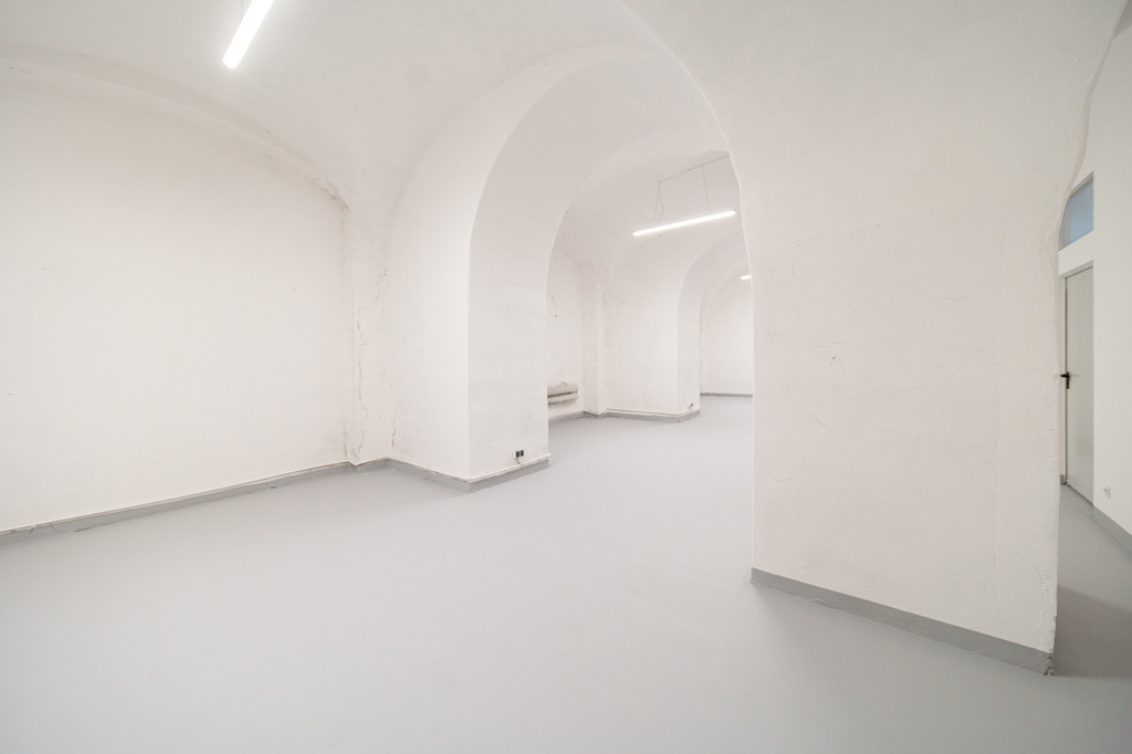 Lokal Sprzedaż Szczecin 12