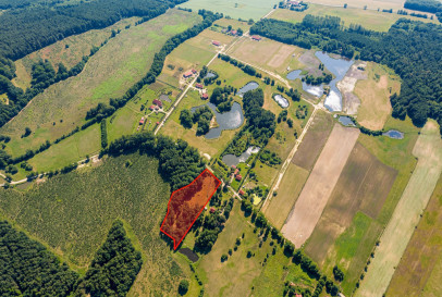 Działka Sprzedaż Nowe Koprzywno