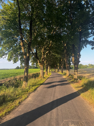 Działka Sprzedaż Klępnica 8